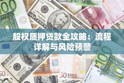 北京股权质押贷款全攻略：流程详解与风险预警