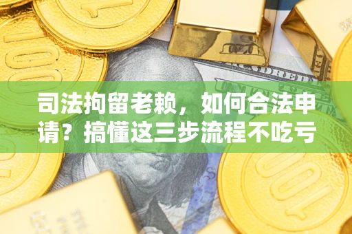 北京司法拘留老赖，如何合法申请？搞懂这三步流程不吃亏！