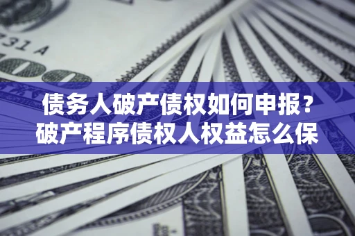 北京债务人破产债权如何申报？破产程序债权人权益怎么保障？