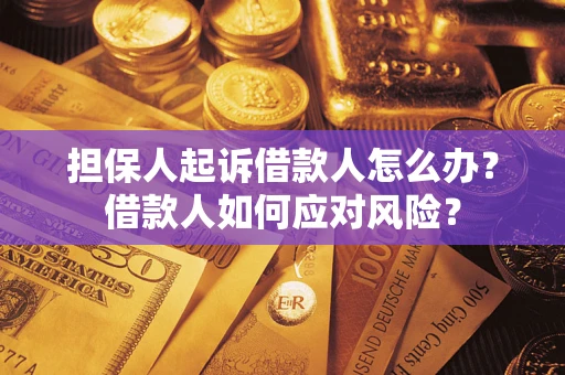 北京担保人起诉借款人怎么办？借款人如何应对风险？
