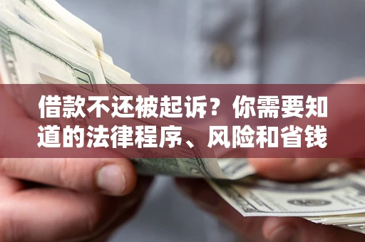 北京借款不还被起诉？你需要知道的法律程序、风险和省钱技巧
